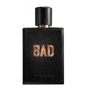 عطر ادکلن استی لودر پلیژرز اینتنس مردانه-Estee Lauder Pleasures Intense for Men