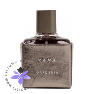 عطر ادکلن فَن دی فندی پور هوم-Fan di Fendi Pour Homme