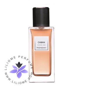 عطر ادکلن اس تی دوپونت مردانه-S.t Dupont pour Homme