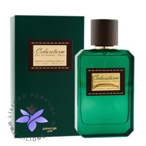 عطر ادکلن دی کی ان وای بی دلیشس فرش بلوسوم-DKNY Be Delicious Fresh Blossom