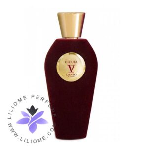 عطر ادکلن ورتوس آمبر الیکسیر-Vertus Amber Elixir