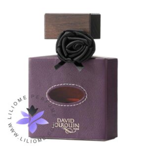 عطر ادکلن بالدی آمتیستا-Baldi Ametista