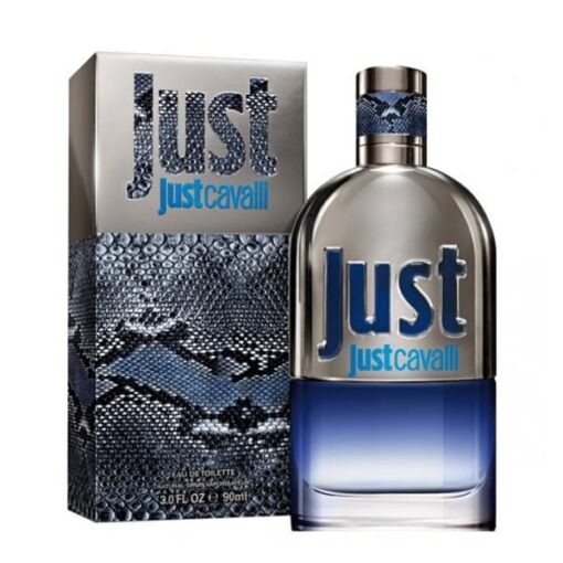 عطر ادکلن روبرتو کاوالی جاست کاوالی مردانه | Roberto Cavalli Just Cavalli Him