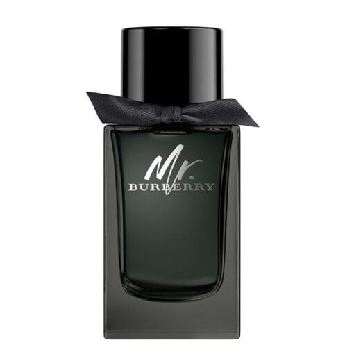 عطر ادکلن باربری مستر باربری ادو پرفیوم | Burberry Mr. Burberry Eau de Parfum