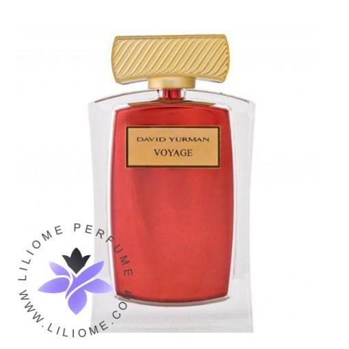 عطر ادکلن دیوید یورمن وویاج-David Yurman voyage